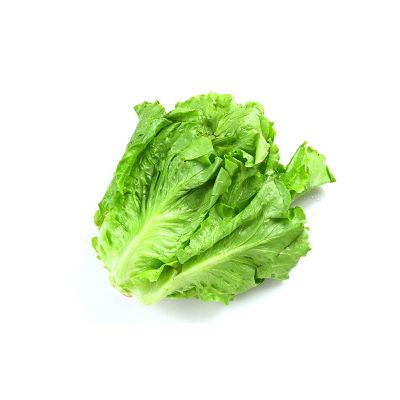 Local Romaine Lettuce